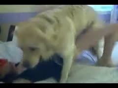 In this incredible hardcore beast porn episode, a young doxy who was formerly a virgin bangs a K9.